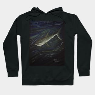 Shark Warning Hoodie